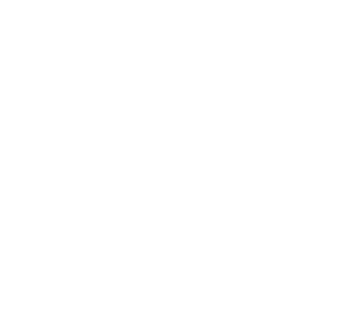 Logo CNR